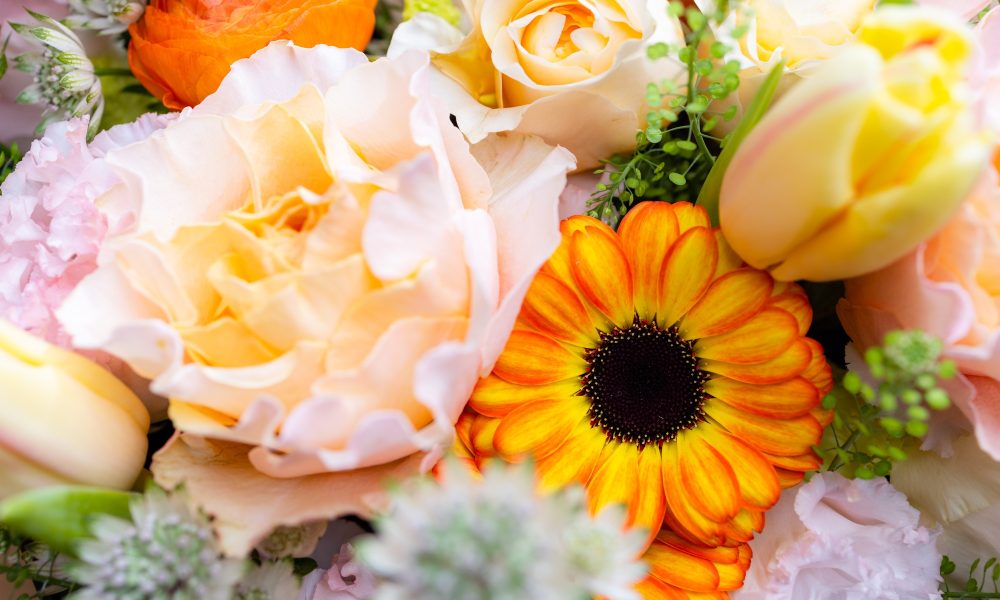 Set of flower box with different flower