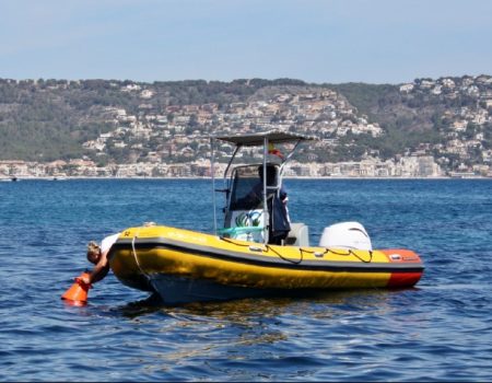 Seaweed patrol