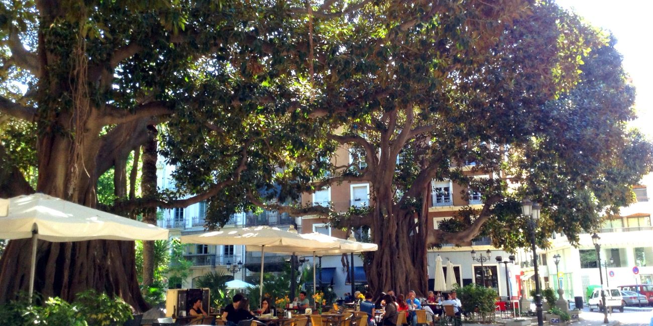 Alicante Bar