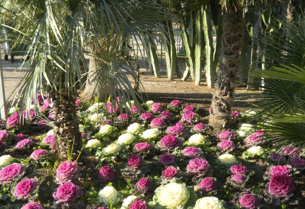 Elche Gardens