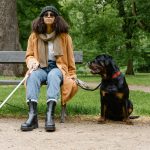 Assistance dog