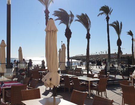 Torrevieja Bar Terrace