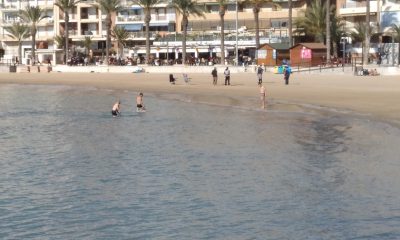 Torrevieja Beach Bars