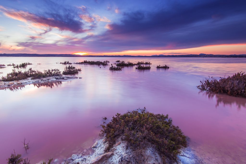 Laguna Salada in Torrevieja,Spain. Salted lake at sunset.