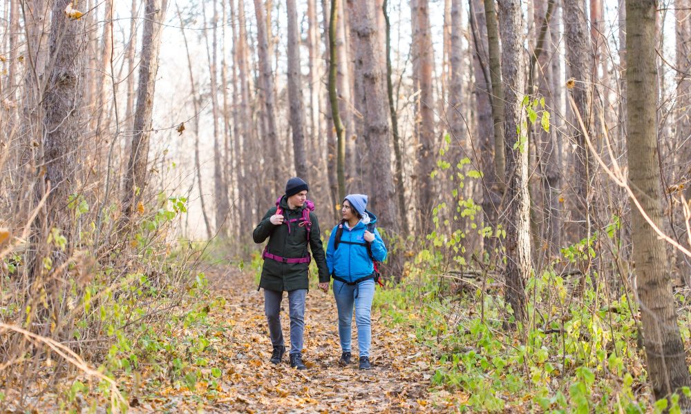 Travel, tourism, hike and nature concept - Tourists walking in park with backpack dressed in blue