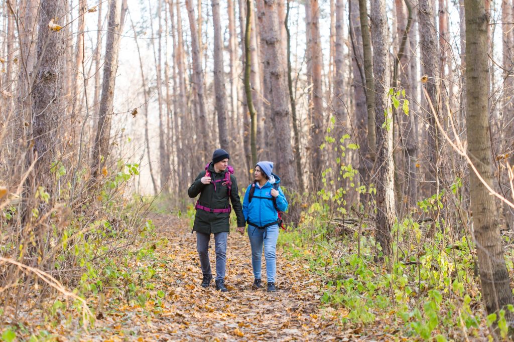 Travel, tourism, hike and nature concept - Tourists walking in park with backpack dressed in blue