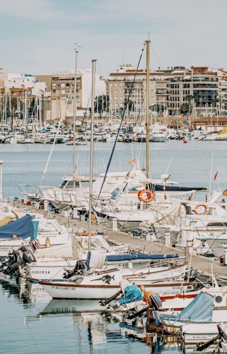 white and blue boats on dock during daytime