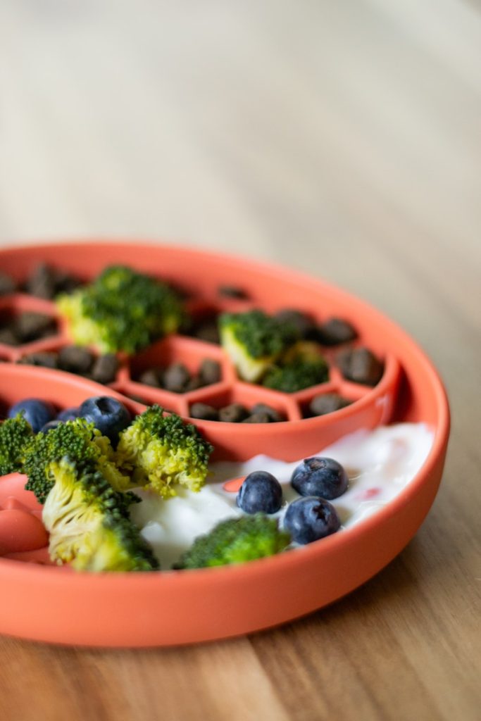 Dog food with fruits and broccoli.