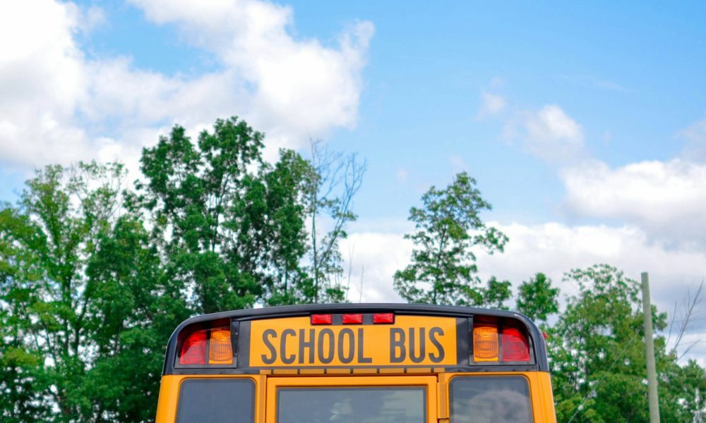 school bus near green trees under cloudy sky during daytime