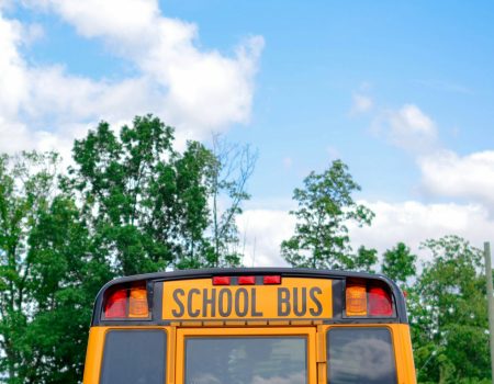 school bus near green trees under cloudy sky during daytime