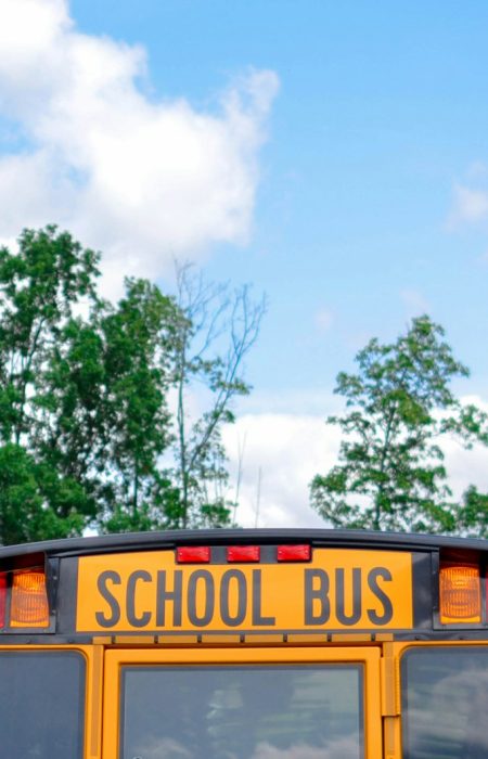school bus near green trees under cloudy sky during daytime