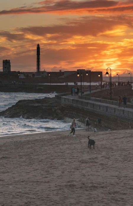 a group of people walking along a beach next to the ocean