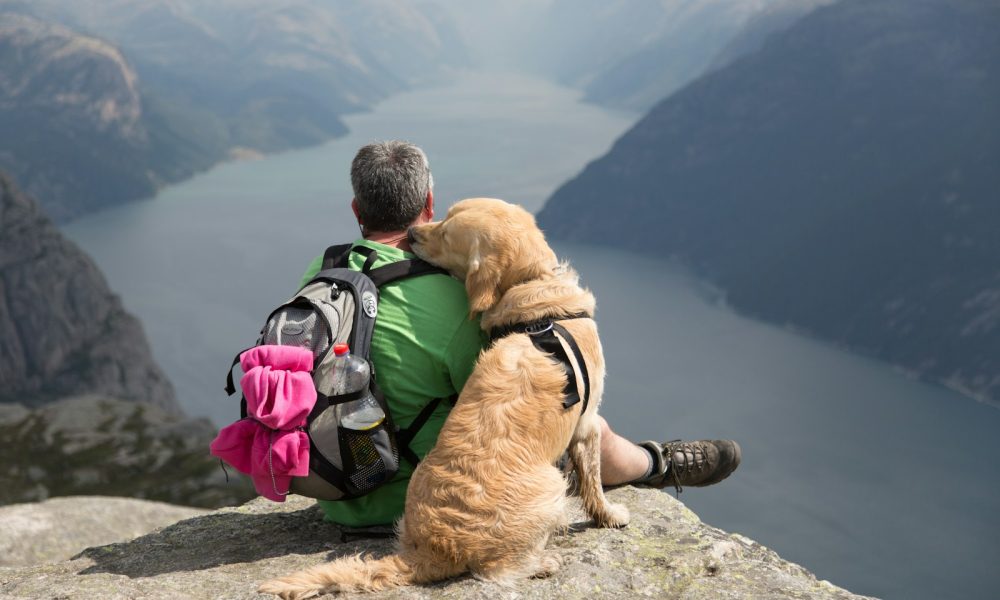 a man sitting on a rock with a dog on his back