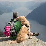 a man sitting on a rock with a dog on his back