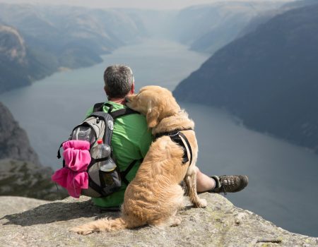 a man sitting on a rock with a dog on his back