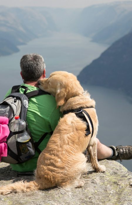a man sitting on a rock with a dog on his back