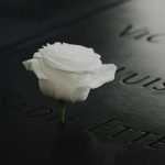 white rose on black surface