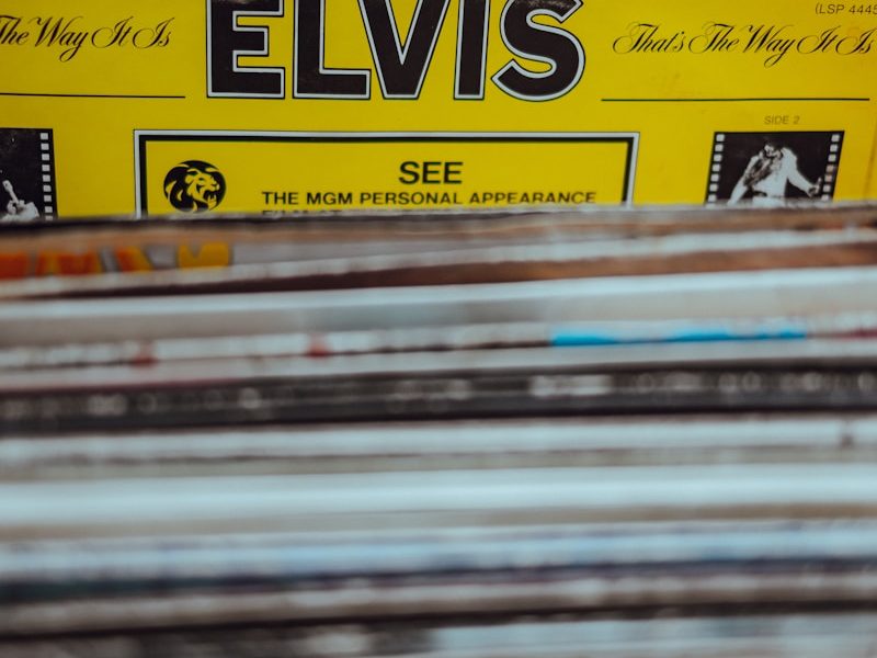 Elvis vinyl sleeve