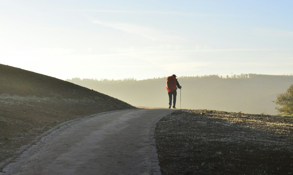person walking on road during daytime
