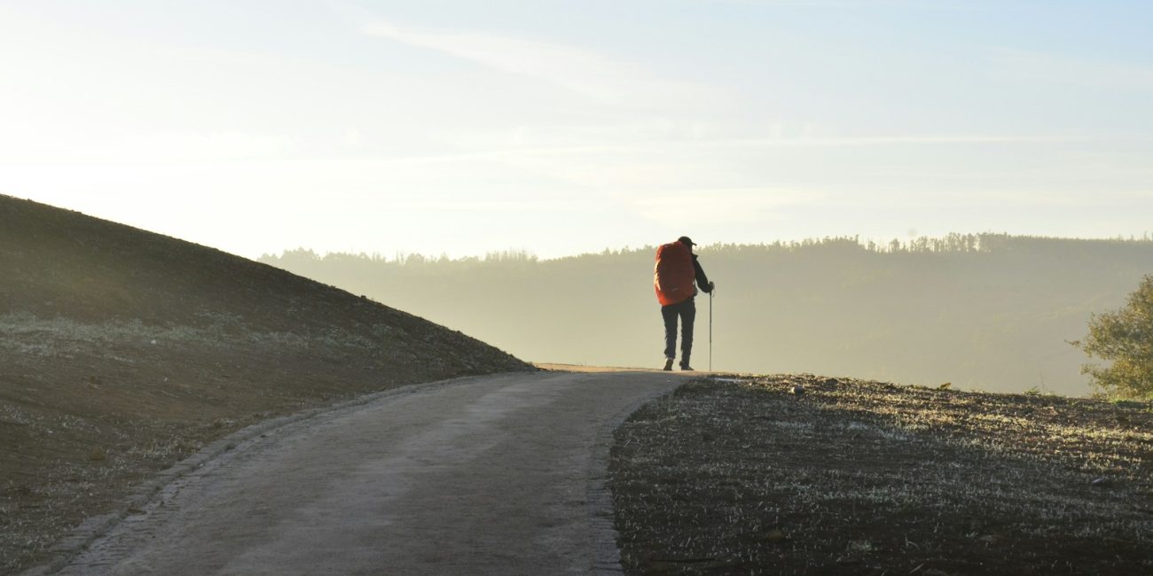 person walking on road during daytime