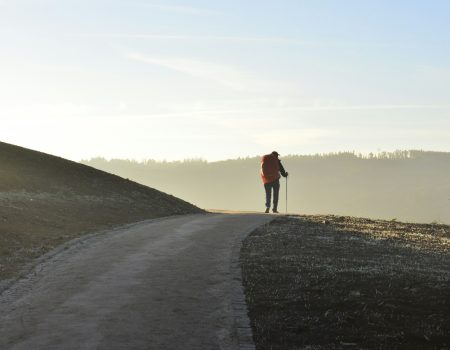 person walking on road during daytime