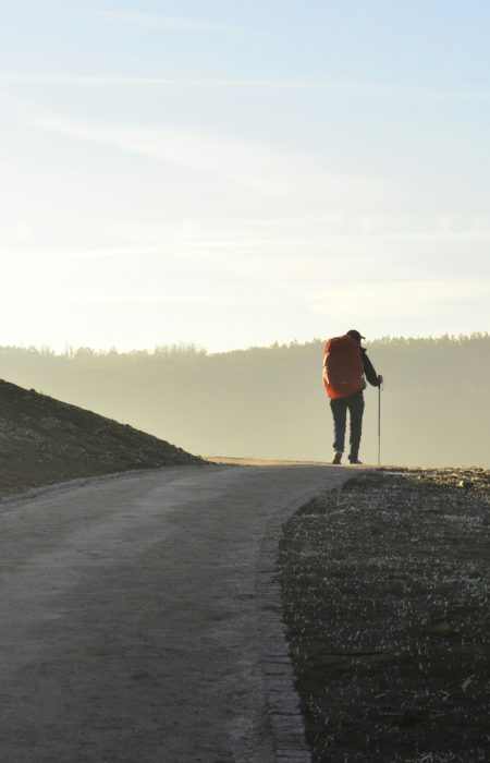 person walking on road during daytime