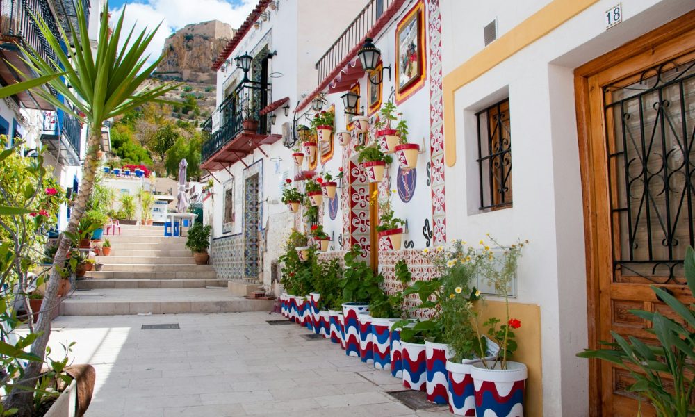a narrow street lined with potted plants next to a building