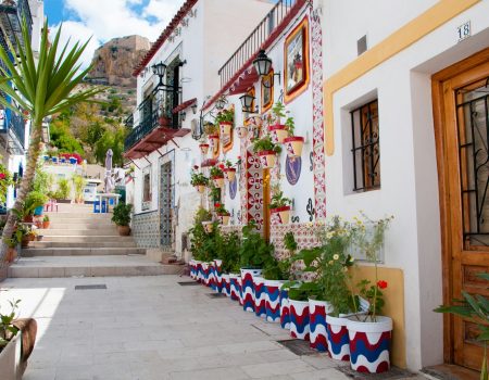 a narrow street lined with potted plants next to a building