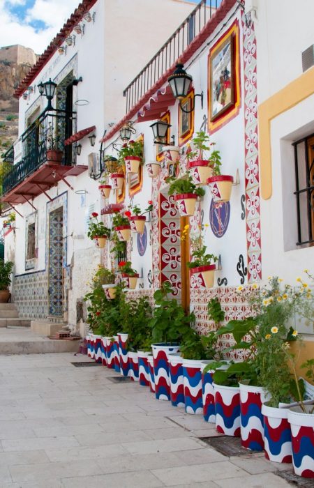a narrow street lined with potted plants next to a building