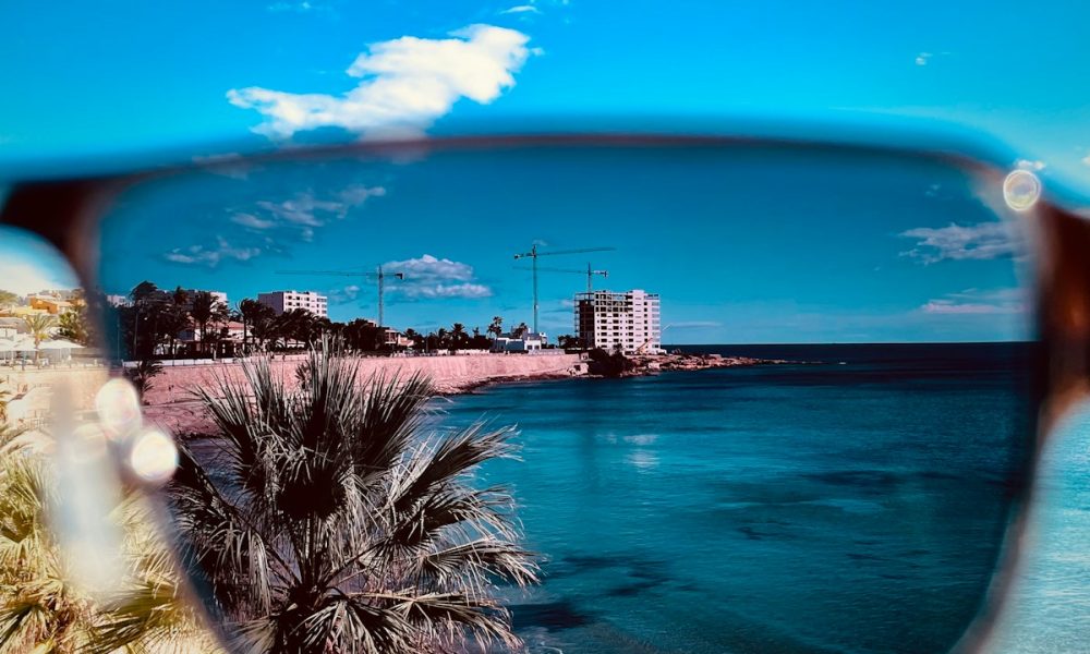 a palm tree on a beach