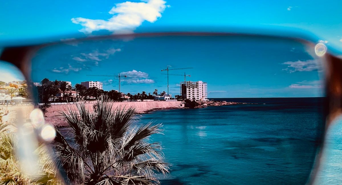 a palm tree on a beach
