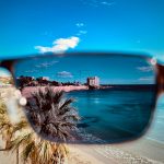a palm tree on a beach