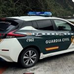 Plantation with more than 2,400 marijuana plants dismantled in Aspe