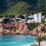 A beach with palm trees and houses on a hill