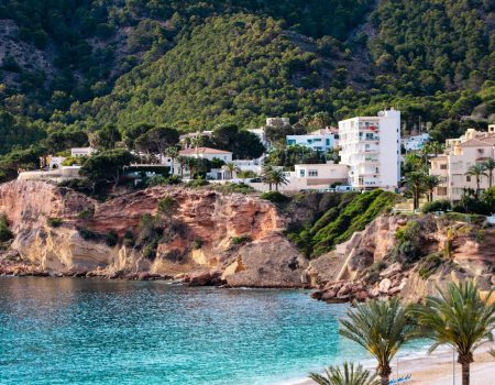 A beach with palm trees and houses on a hill