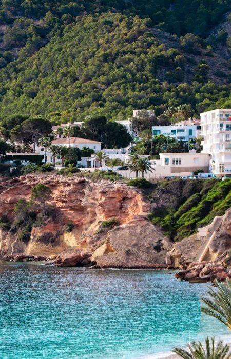 A beach with palm trees and houses on a hill