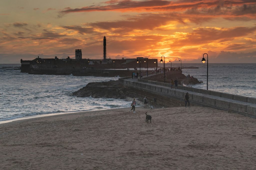 a group of people walking along a beach next to the ocean