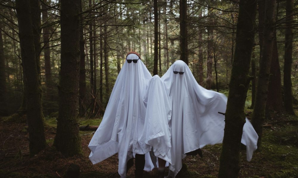 a group of white dresses in a forest