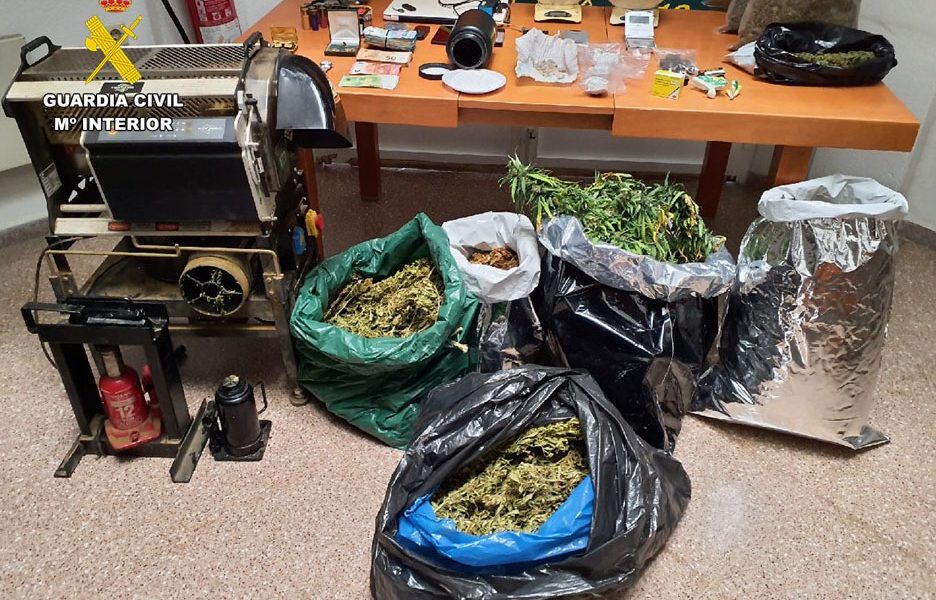 Marijuana plantation with 13 kilos of marijuana dismantled in Los Montesinos