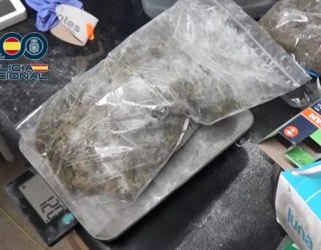 Group that sent drug packages from Orihuela to Belgium and Canada arrested