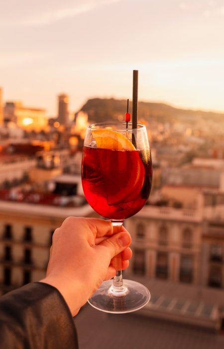 a person holding a wine glass