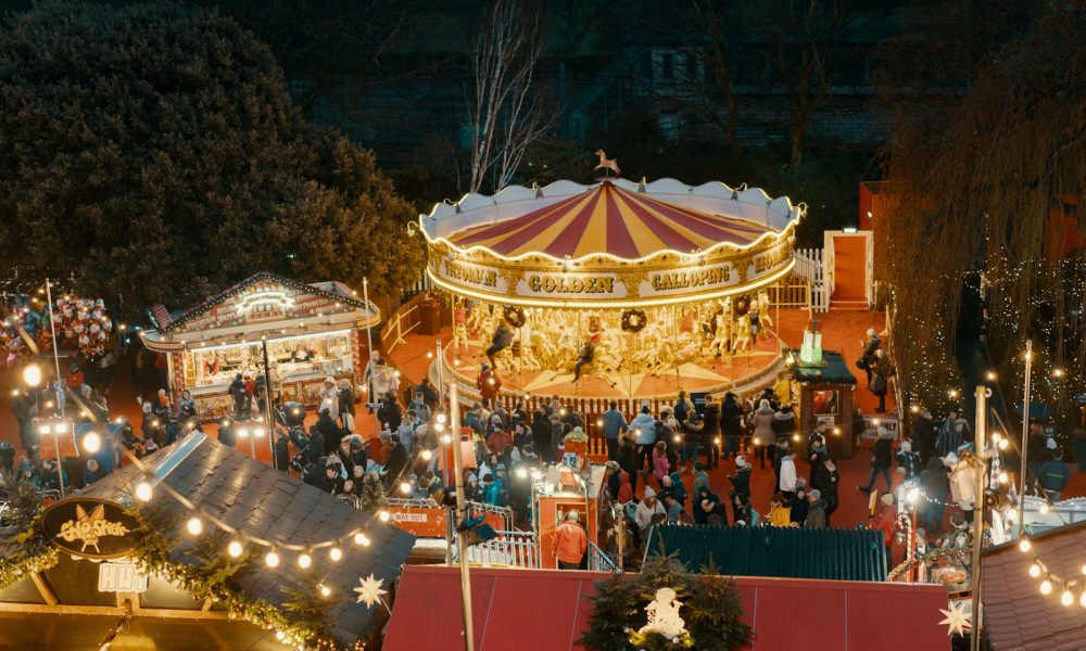 people standing near merry-go-round on amusement park during night time