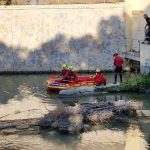 Body found floating in the Segura River near the Puente Nuevo bridge in Orihuela Alicante Fire Brigade Body Orihuela river