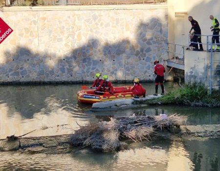Body found floating in the Segura River near the Puente Nuevo bridge in Orihuela Alicante Fire Brigade Body Orihuela river