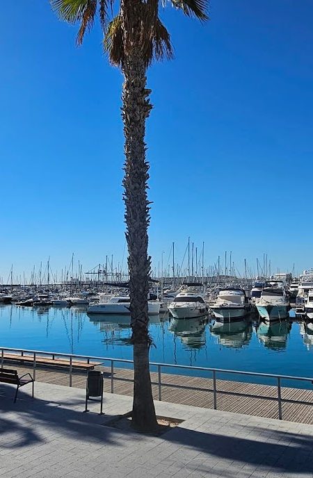 Alicante port harbour promanade