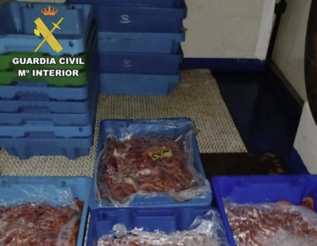 Guardia Civil Red shrimp