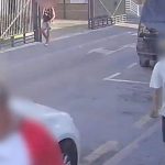 Torrevieja jewellery robbers