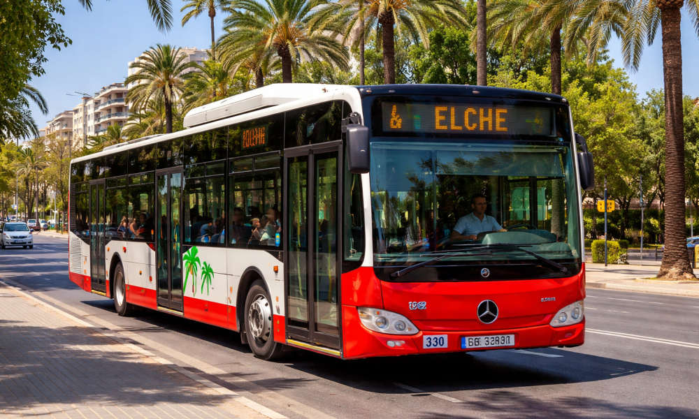 Elche bus