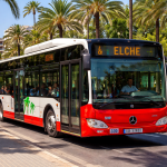 Elche bus