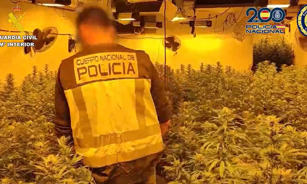 Guardia Civil drugs arrests